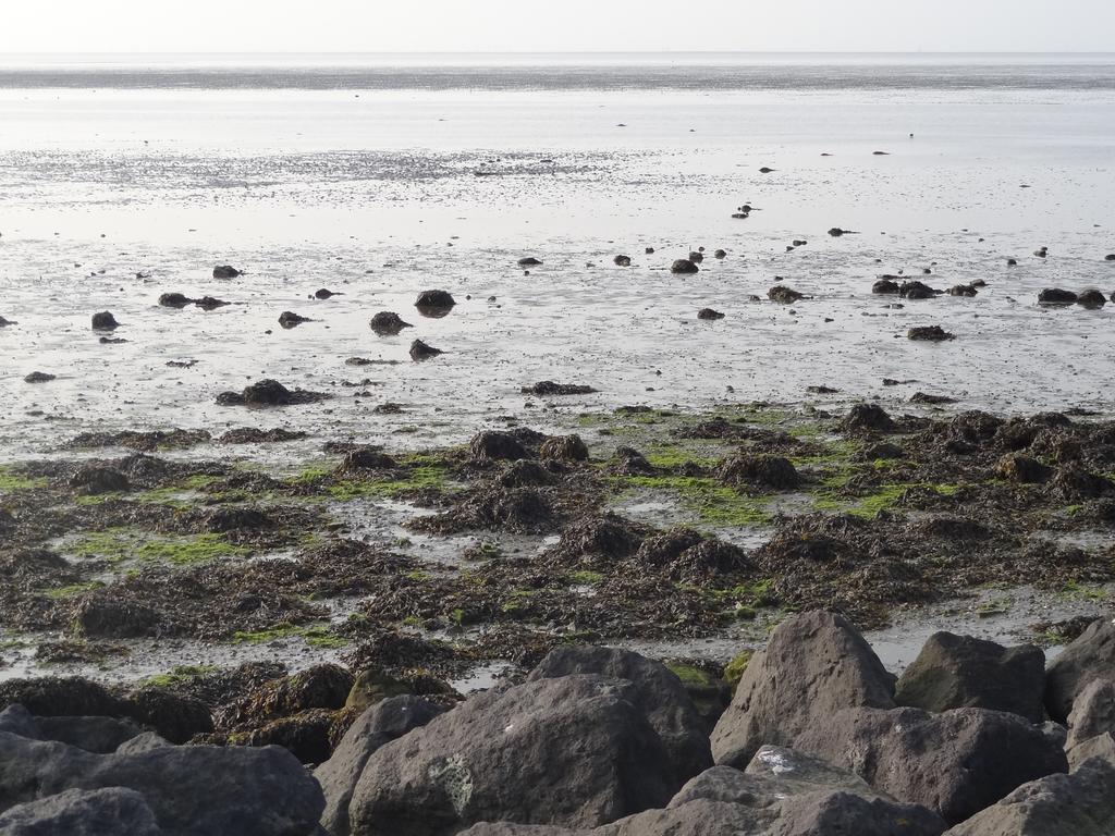 Appartementenhotel Tjermelan Terschelling 奥斯特仁德 外观 照片